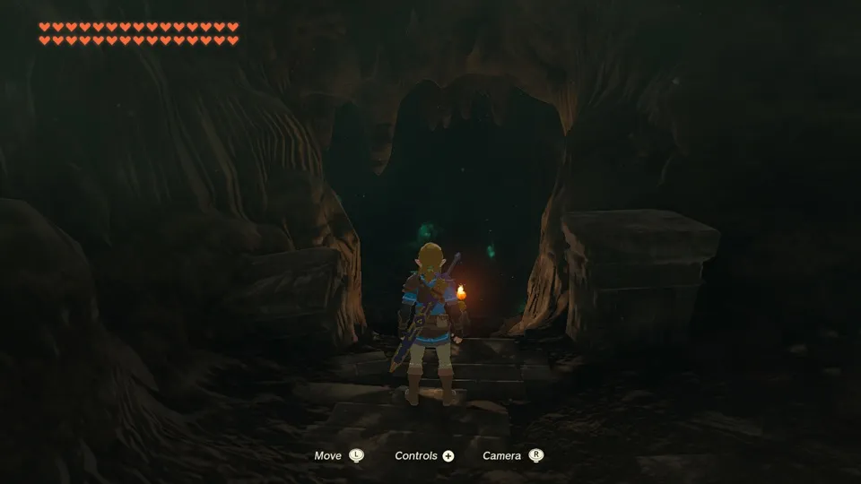The Legend of Zelda: Tears of the Kingdom running through nxnative